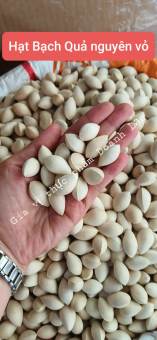 500gr Hạt Bạch Quả Tươi nguyên vỏ, hạt nặng, đẹp 🥣 nấu chè, hầm canh, xào chay, xào mặn