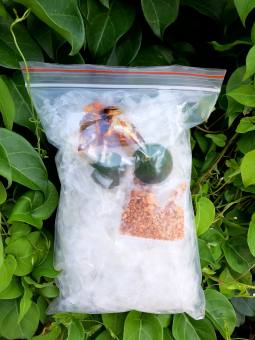 1 bịch bánh tráng sợi trộn sate siêu cay ngon rẻ