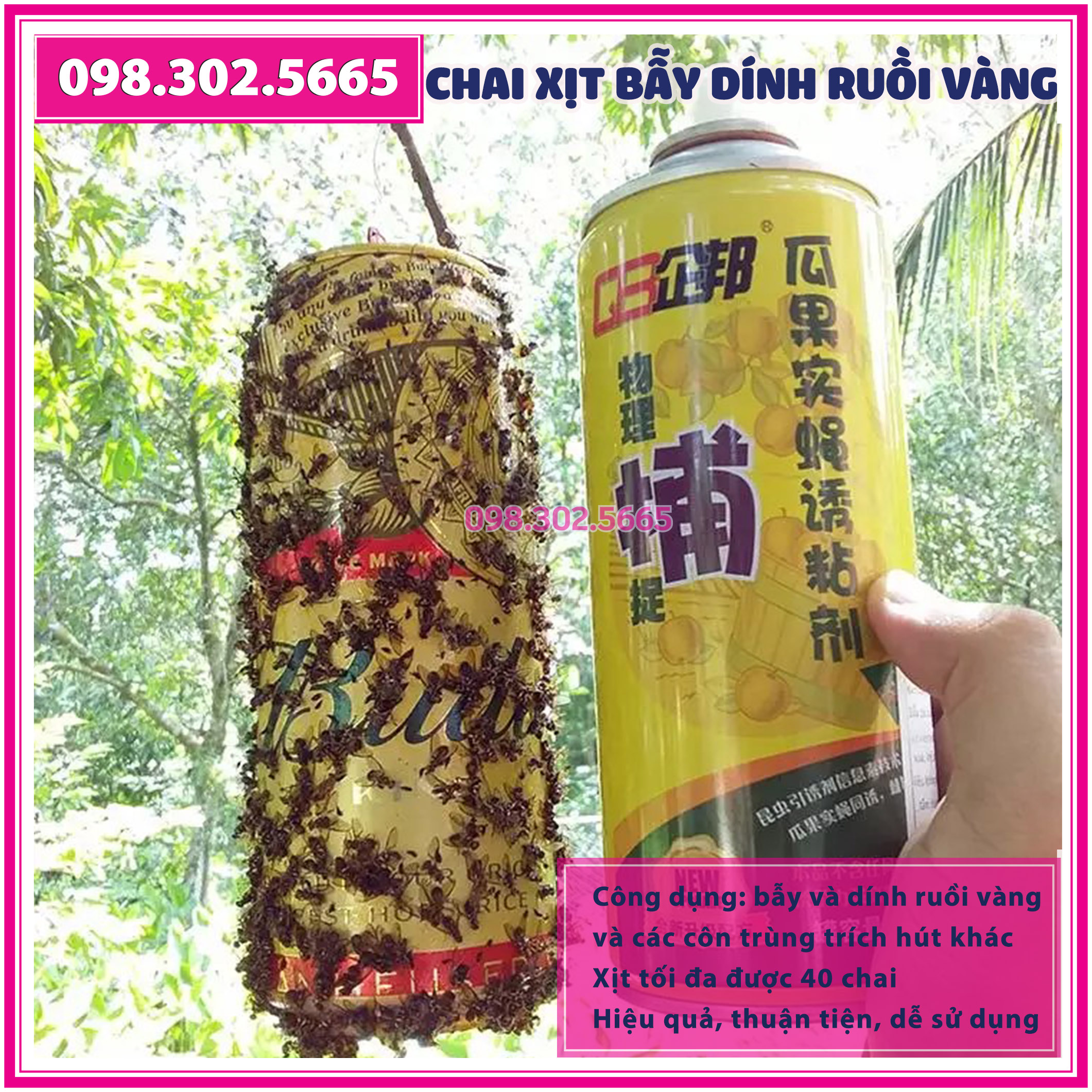 Keo xịt bẫy ruồi vàng, côn trùng loại 1 - chai 450ml (giá tốt nhất)