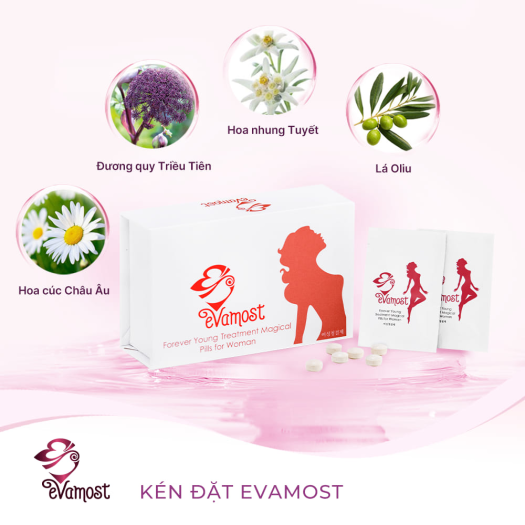 Kén Se Khít Hồi Xuân Evamost - Kén Đặt Se Khít Evamost, Kén Đặt Evamost, Viên Đặt Se Khít Evamost