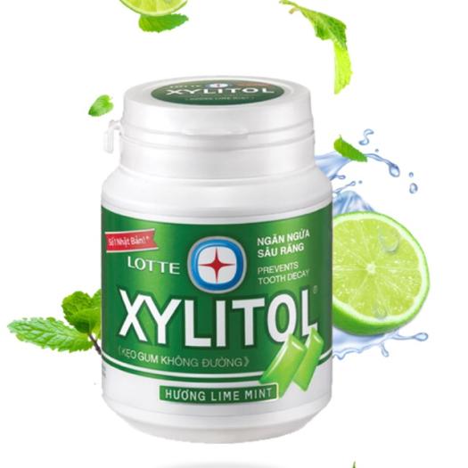 6 Hũ Kẹo gum không đường hương chanh bạc hà Xylitol hộp 58g ( ComBo 6 Hũ ) - Đồ tráng miệng | VinMart.co