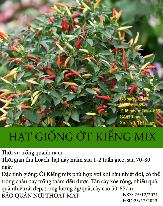 20 hạt giống kiểng nhiều màu -dễ trồng, đẹp mắt, cây vừa làm cảnh vừa làm gia vị