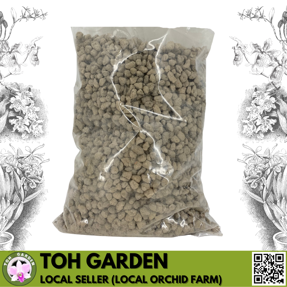 Pumice Stone Singapore Gardening Fasci Garden