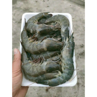 1kg Tôm lột tươi cấp đông size 35-38c (giao tphcm)