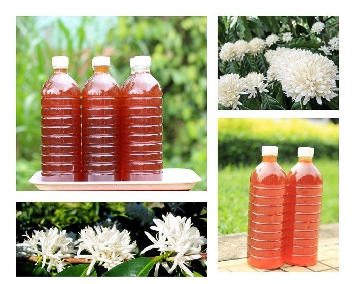 Chai 1 lít mật ong hoa cà phê 100% nguyên chất daklak _ nature food