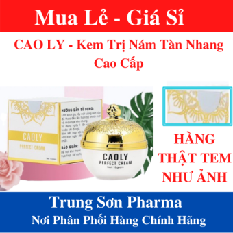 KEM SÂM CAO LY _KEM NÁM CAO LY_ KEM  NÁM , TÀN NHANG CAO CẤP CHÍNH HÃNG ĐƯỢC BỘ Y TẾ VIỆT NAM CÔNG NHẬN. - TS001