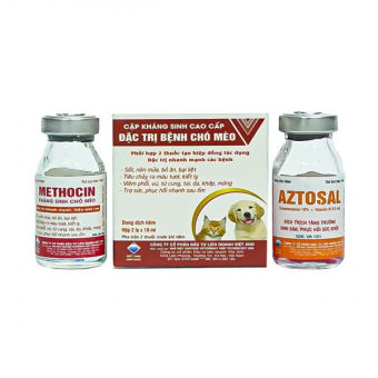 Cặp kháng sinh cao cấp chửa tɾị b.ệnh chó mèo - Hộp 2 lọ x10ml