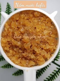 Nấm nước kefir (water kefir) 20g - Nấm to
