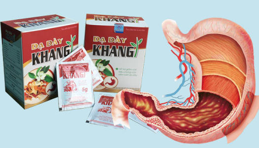 Dạ Dày Khang 👍 [CHÍNH HÃNG] ❤️ Lựa Chọn Cho Người Trào Ngược, Viêm Loét Dạ Dày, Khuẩn HP - TS001