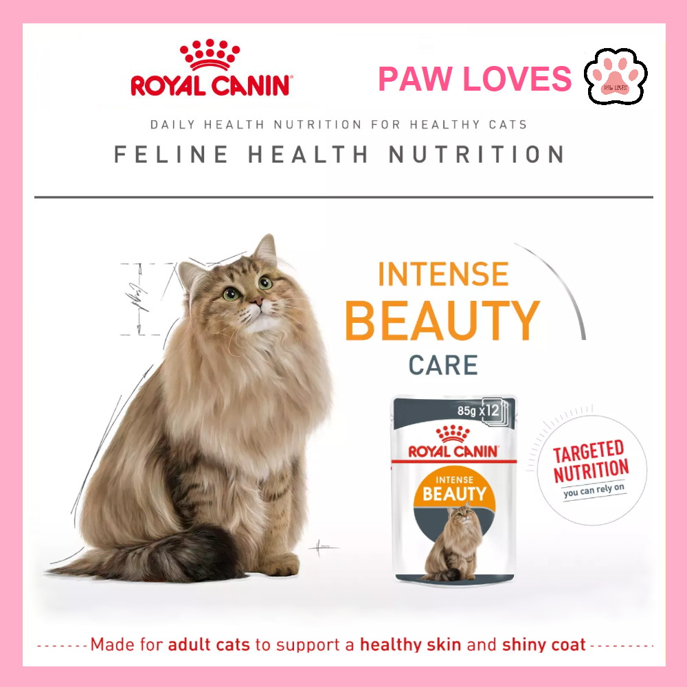 royal canin domestic shorthair