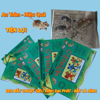Bẫy Keo dính chuột - Siêu Dính  | Miếng keo dán chuột | Miếng bẫy chuột - lớp keo dày