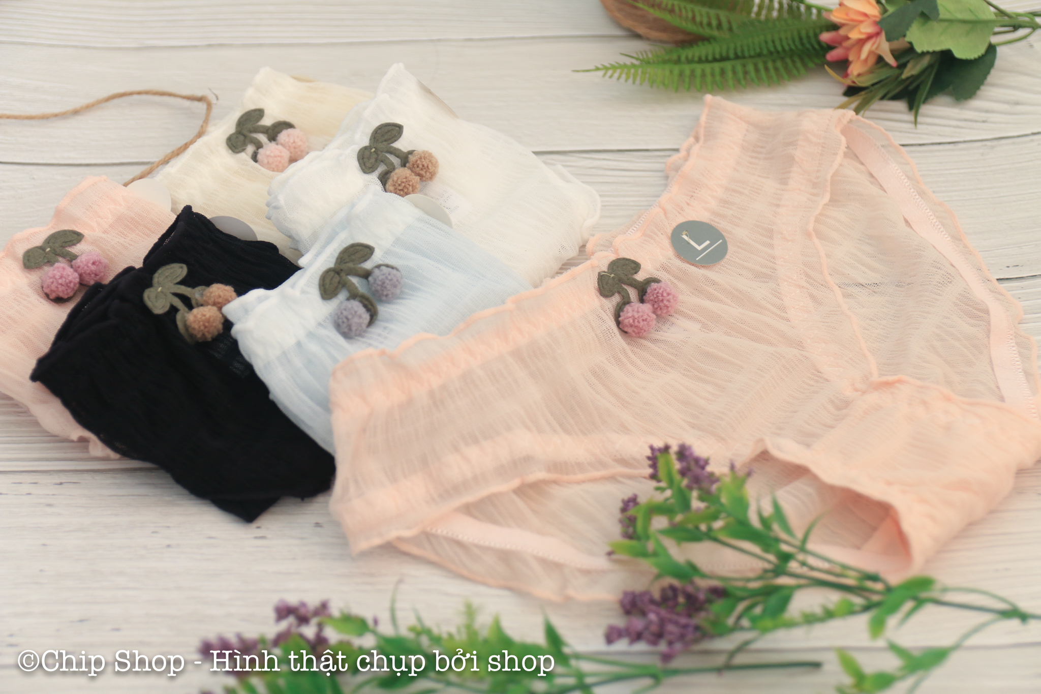 Quần Chíp Nữ, Quan lot nu cotton đẹp, quan lot luoi, quần lưới cute
