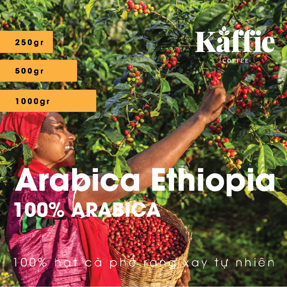 Cà phê hạt Kaffie Arabica Ethiopia - Cà phê nguyên chất rang mộc