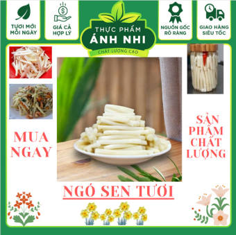 NGÓ SEN TƯƠI - NGÓ SEN MUỐI CHUA DÙNG LÀM GỎI CÁC MÓN ĂN
