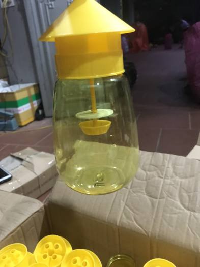 Đèn lồng bẫy ruồi vàng kèm thuố.c