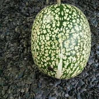 Hạt bí đen rang sẵn 1kg