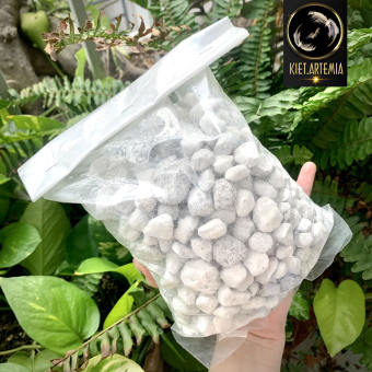 Đá lọc Matrix nhập khẩu Mỹ, vật liệu lọc hồ cá cao cấp