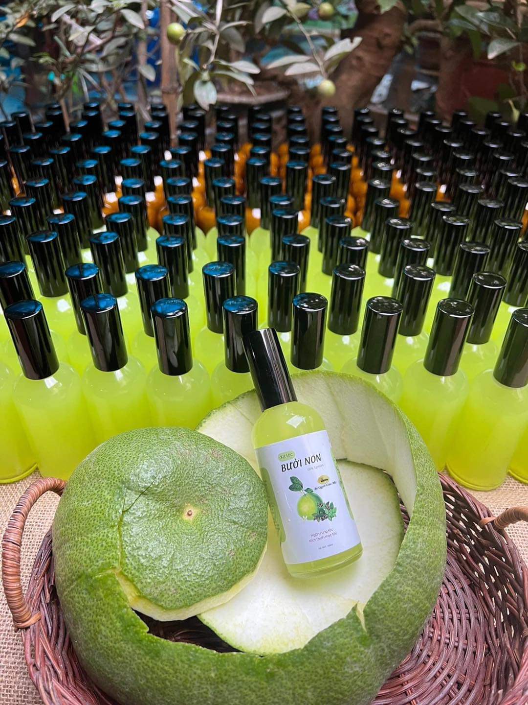 Xịt bưởi hương nhu