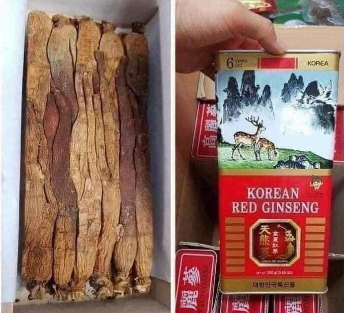 Sâm khô hộp thiếc cao cấp 300g nội địa Hàn Quốc- Quà tặng cao cấp- Loại to 10 củ
