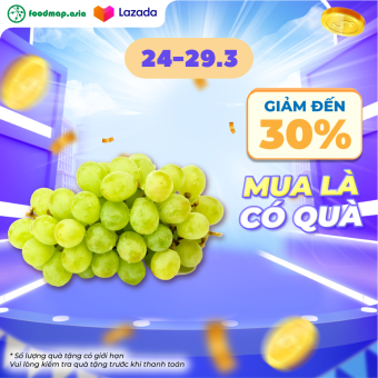 Nho Xanh Nam Phi Autumn Crisp Tươi Ngon, Giòn Ngọt, Quả Size To - Foodmap Fruits - Kg