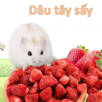 Dâu tây sấy cho hamster và thú cưng