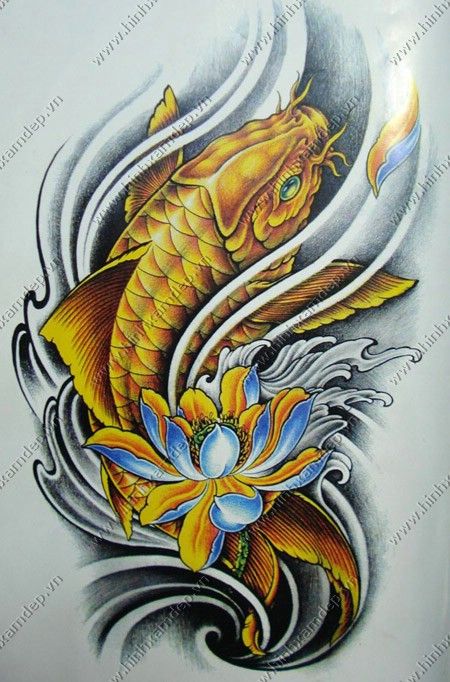 Khuôn mẫu hình xăm body tattoo Cá chép in sẵn màu sắc đa dạng