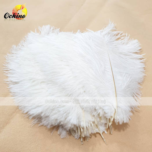 Đèn Lông Vũ, Đèn Lông Bàn, Đèn ngủ Lông đà Điểu, Đèn Ngủ Để bàn, Đèn lông để bàn cao Cấp (Có Điều Khiển Từ Xa)