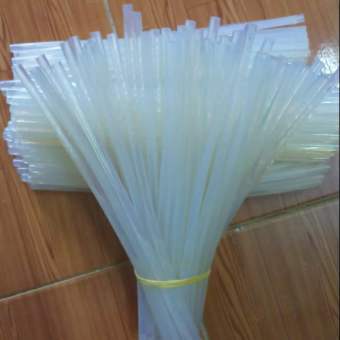 10 cây Keo nến bé loại tốt 25cm