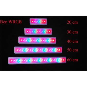 Đèn led thủy sinh 3 chế độ sáng 50cm