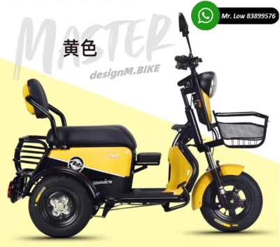 Mobility Scooter PMA (2)