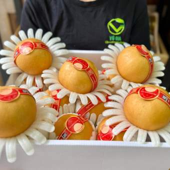 VG FARM Lê Hàn Quốc (500G/1KG)