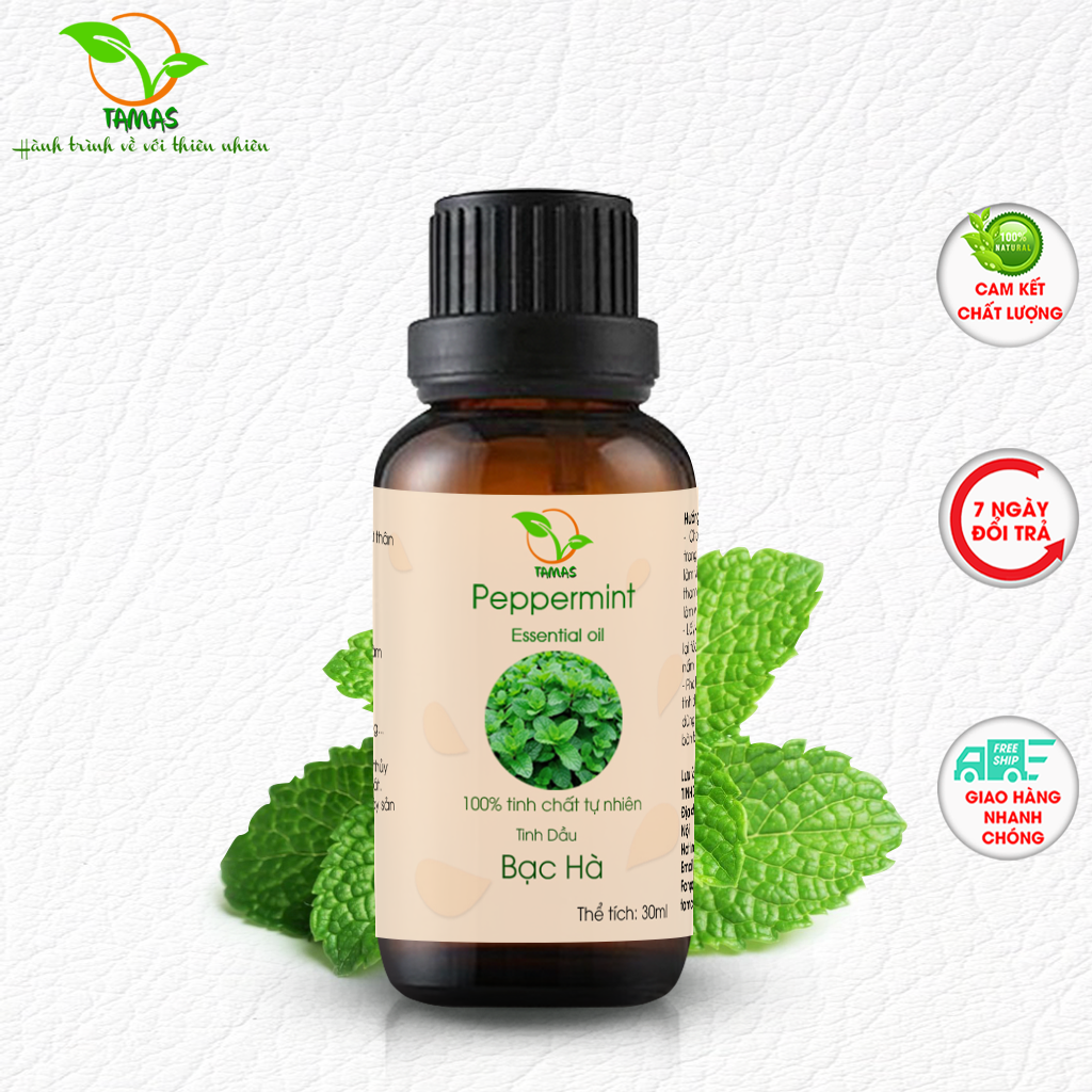 Tinh dầu Bạc Hà nguyên chất chai 10ml/ 30ml, tinh dầu xông phòng, khử mùi, thanh lọc không khi, thích hợp dùng treo xe ô tô, treo tủ quần áo