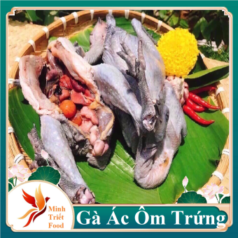 Gà Ác Ôm Trứng Non Đã Được Là Sạch -ĐẶC SẢN MINH TRIẾT