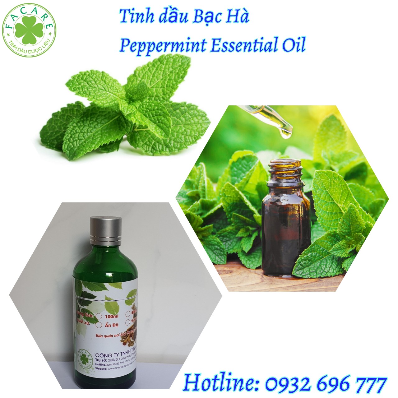 Tinh Dầu Bạc Hà Peppermint essential oil thơm phòng nguyên chất giúp đuổi muỗi, khử mùi - 10ml