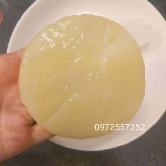 Scoby NẤM KHOẺ, TRÀ NGON con men làm trà thủy sâm kombucha