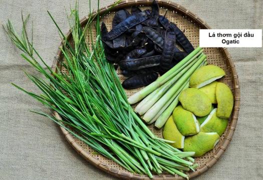 Lá thơm gội đầu Ogatic