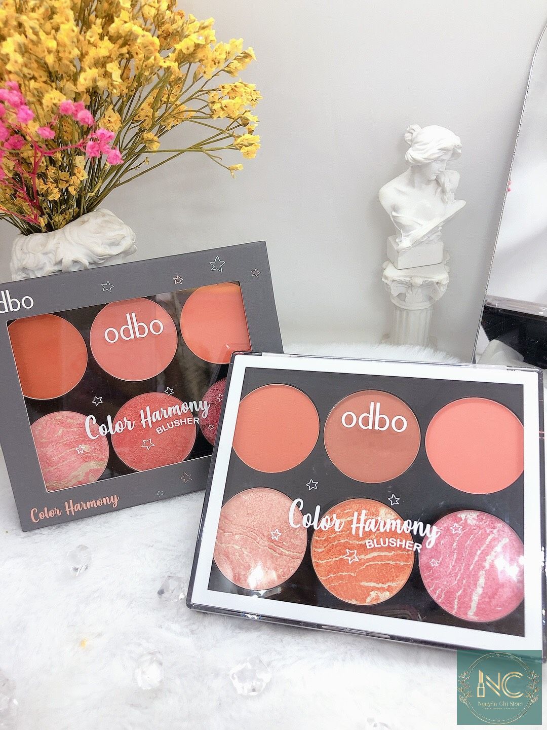 Phấn má hồng 6 ô odbo color harmony blusher