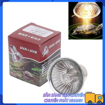 Xi yang Jing Bóng Đèn Bò Sát 25/50/75W UVA + UVB 3.0 Bóng Đèn UV Hình Rùa Đèn Sưởi, Điều Khiển Nhiệt Độ