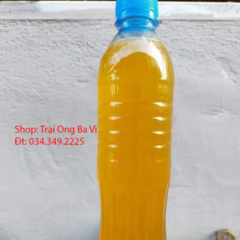 Mật ong hoa cỏ kim hoa xuyến chi vàng óng ả mật rất thơm