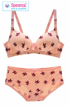 BỘ ÁO NGỰC NỮ REN MÚT VỪA SPERANZA SPb3645_spab6831, spb3088