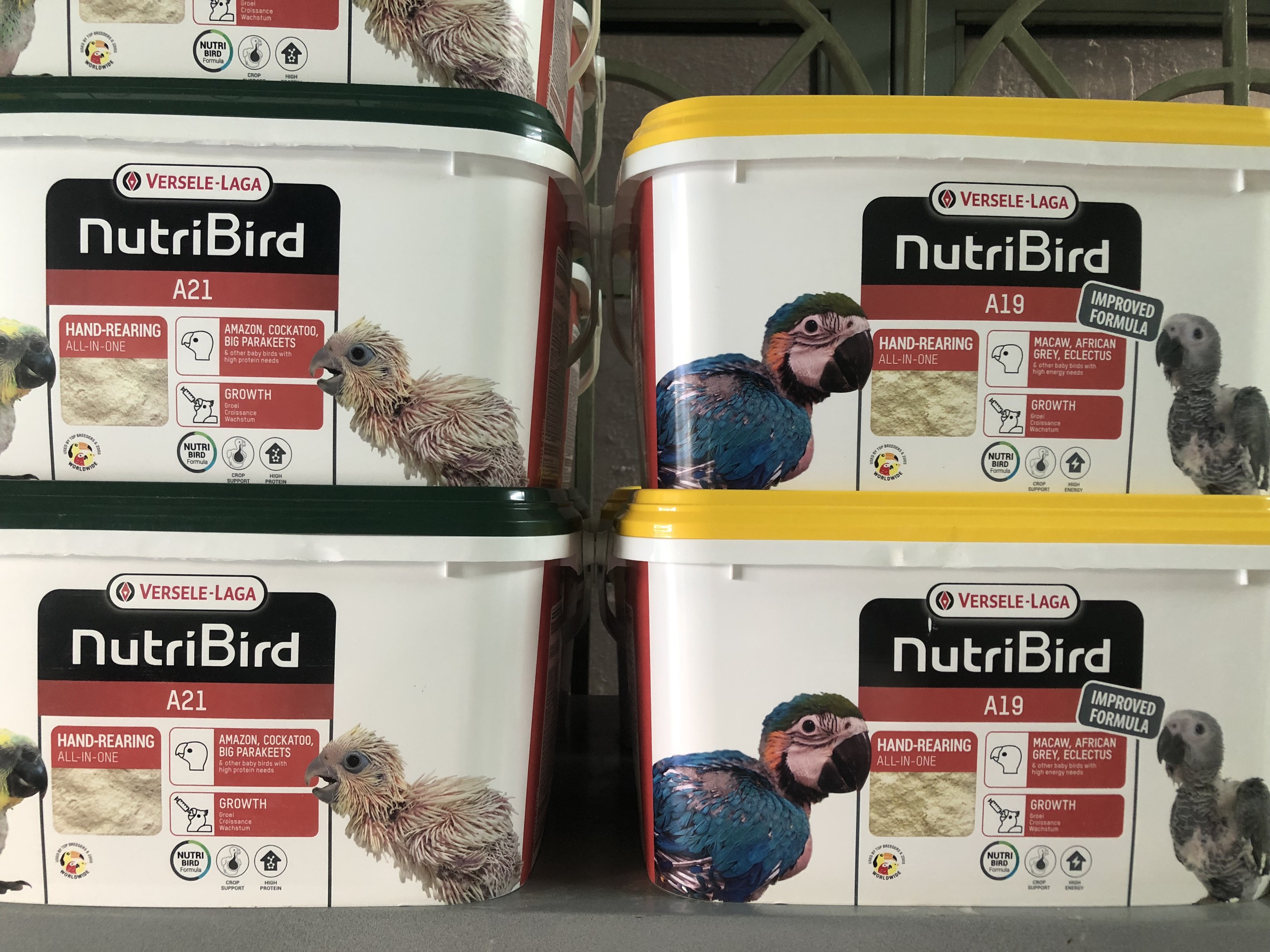 Bột Nutri A21 / A19 cho vẹt non các loại gói lẻ 100g