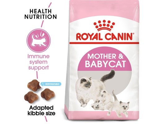 Thức ăn hạt cho mèo mẹ và mèo con Royal Canin Mother and Baby Cat