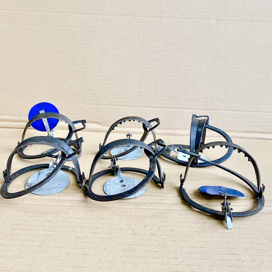 Bẫy chuột thông minh tự động bằng sắt, dụng cụ bẫy chuột bán nguyệt bập bênh dính chuột 100%