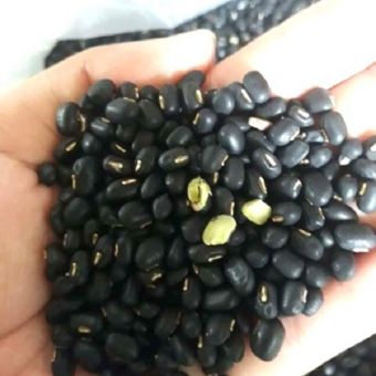 Đậu đen xanh lòng 1kg