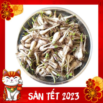 1KG củ kiệu nông sản Việt