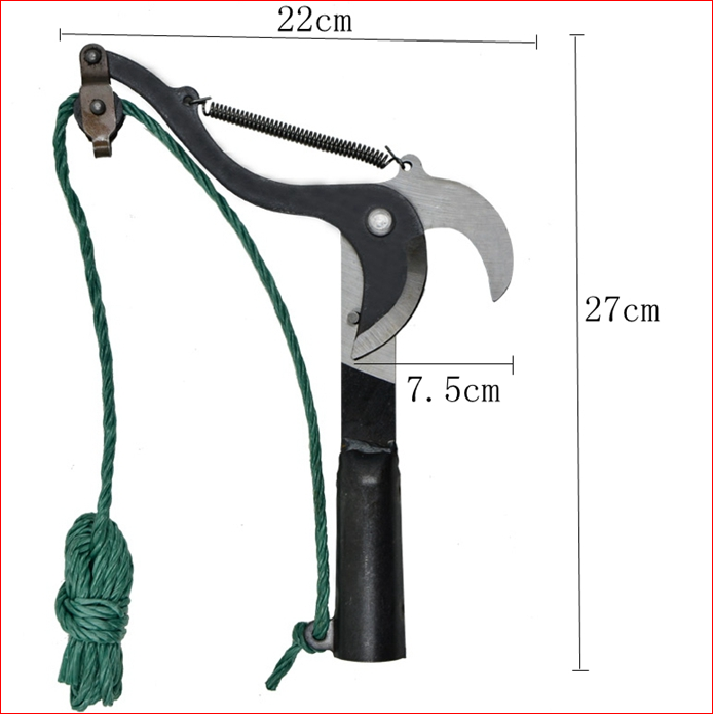 Đầu kéo cắt cành cây trên cao, Kéo cắt cành cây