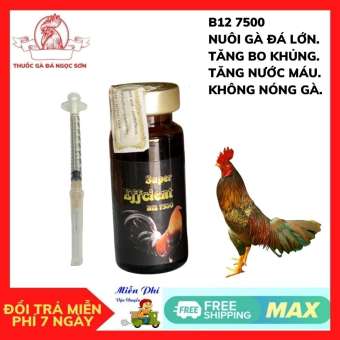 B12 7500 10 ML Tăng nước máu, tăng bo, không nóng gà, thuốc gà, thuốc gà đá, thuốc cho gà đá, thuốc tăng bo gà đá, thuốc b12 cho gà đá, vitamin b12 cho gà, thuốc nuôi gà đá tăng bo nhập khẩu Mexico
