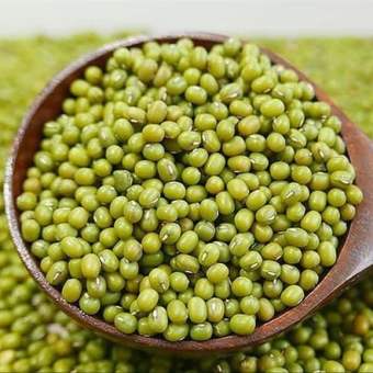 Đậu xanh (đỗ xanh) hạt giống thuần chủng 500g