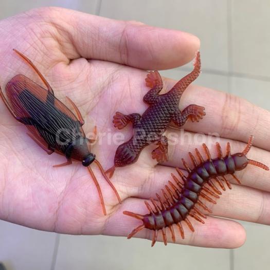 Đồ Chơi Con Gián Giả Thằn Lằn Rết Bọ cạp - 7k/3con - Chơi Cho Chó Mèo Chơi Khăm-May Pet