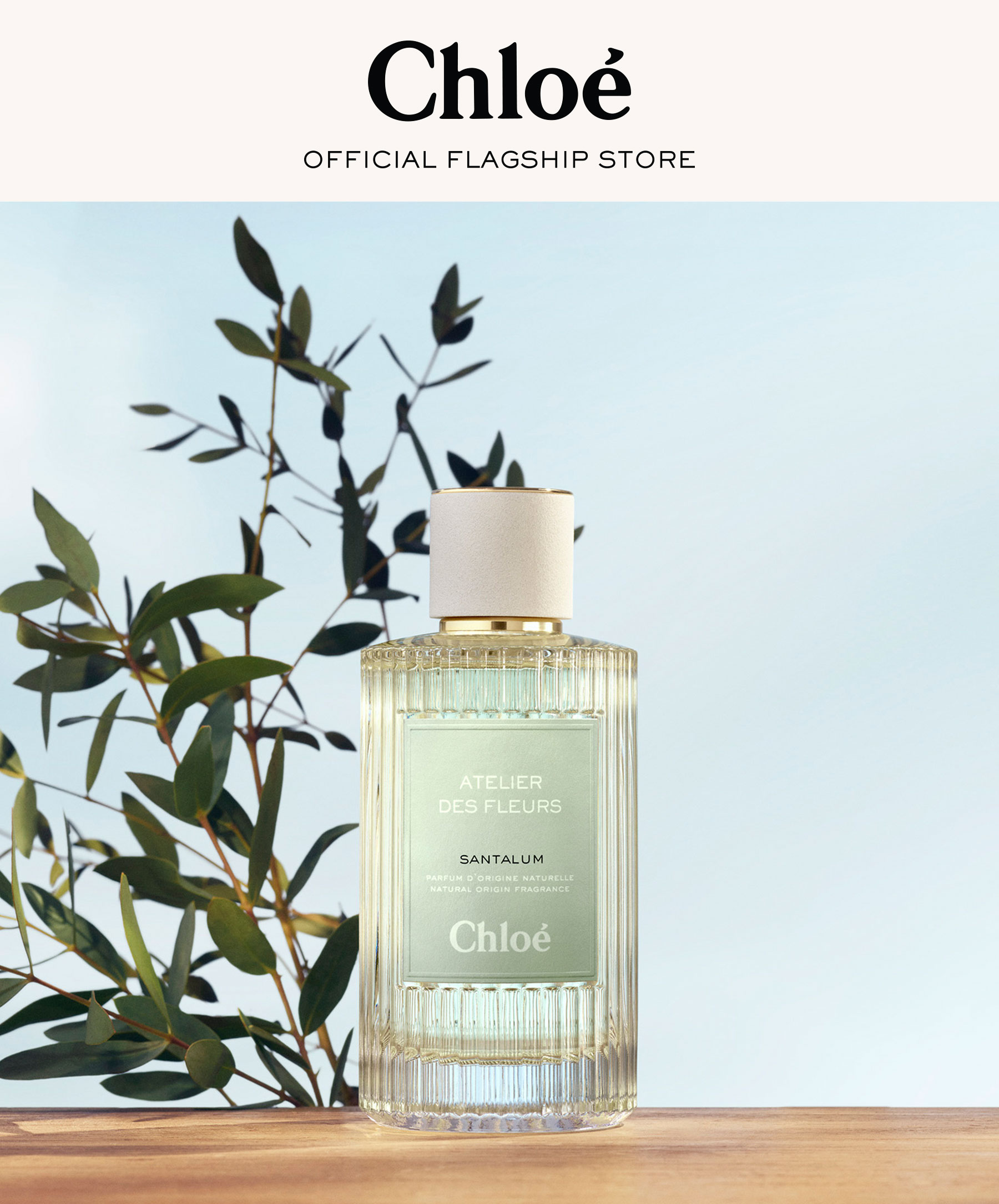 新品Chloé Atelier des Fleurs Santalum 50ml Chloé Atelier Des Fleurs Santalum Eau De Pafrum 150ml